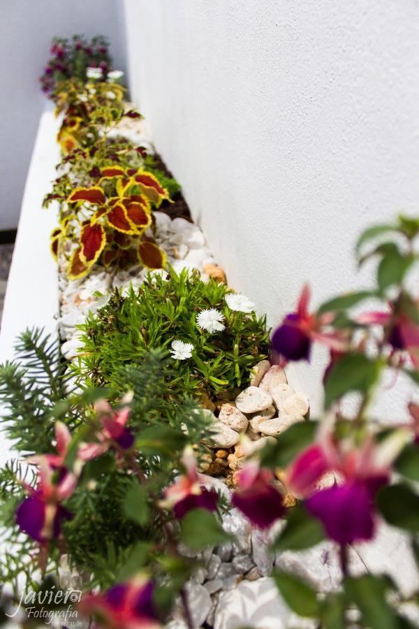 Lofts En Cuernavaca Con Alberca Climatizada Apart otel Dış mekan fotoğraf